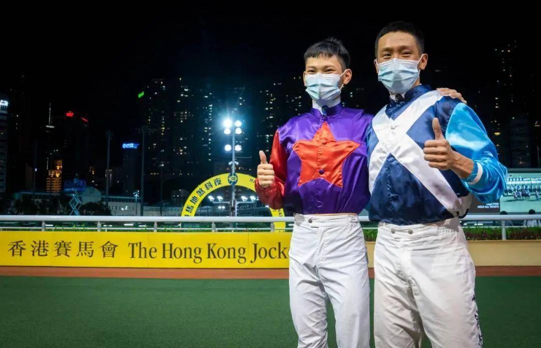 探索香港马会正版料大全2019，赛马的智慧与激情香港正版马会免费资料大全