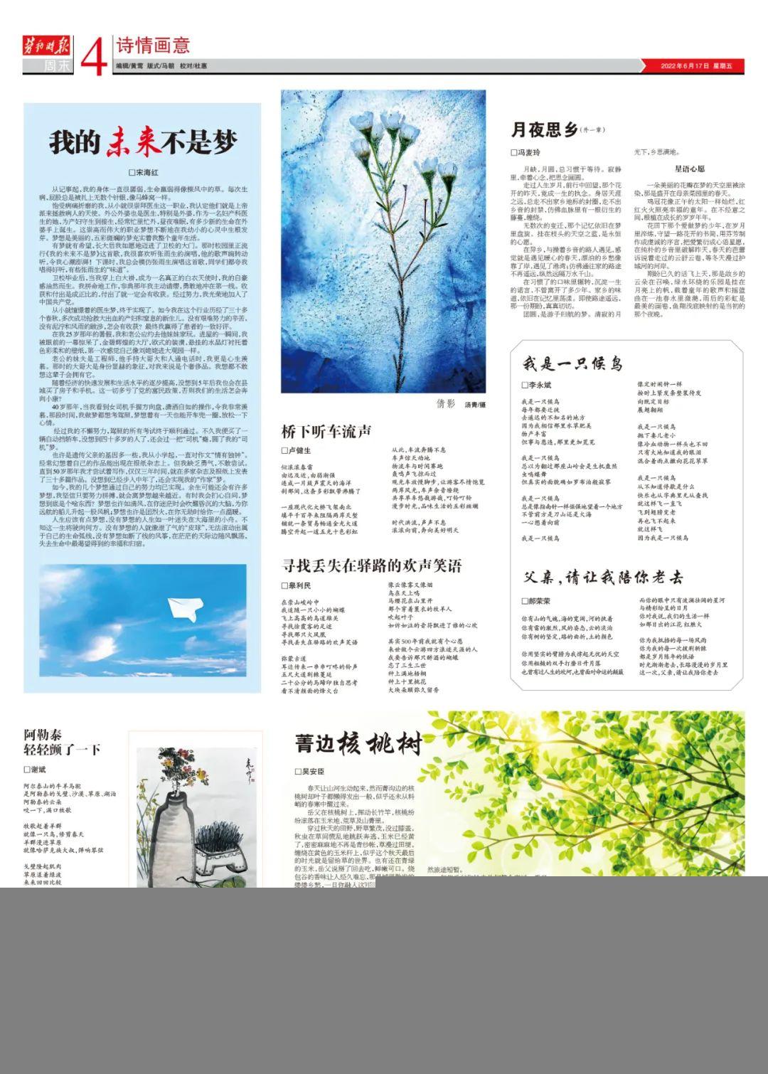 2018年一码到底，揭秘网络预测的真相与风险2022一码一肖100%准确最新版下载