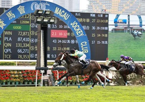 2019年香港马会开奖记录与结果分析2019香港码开奖历史记录