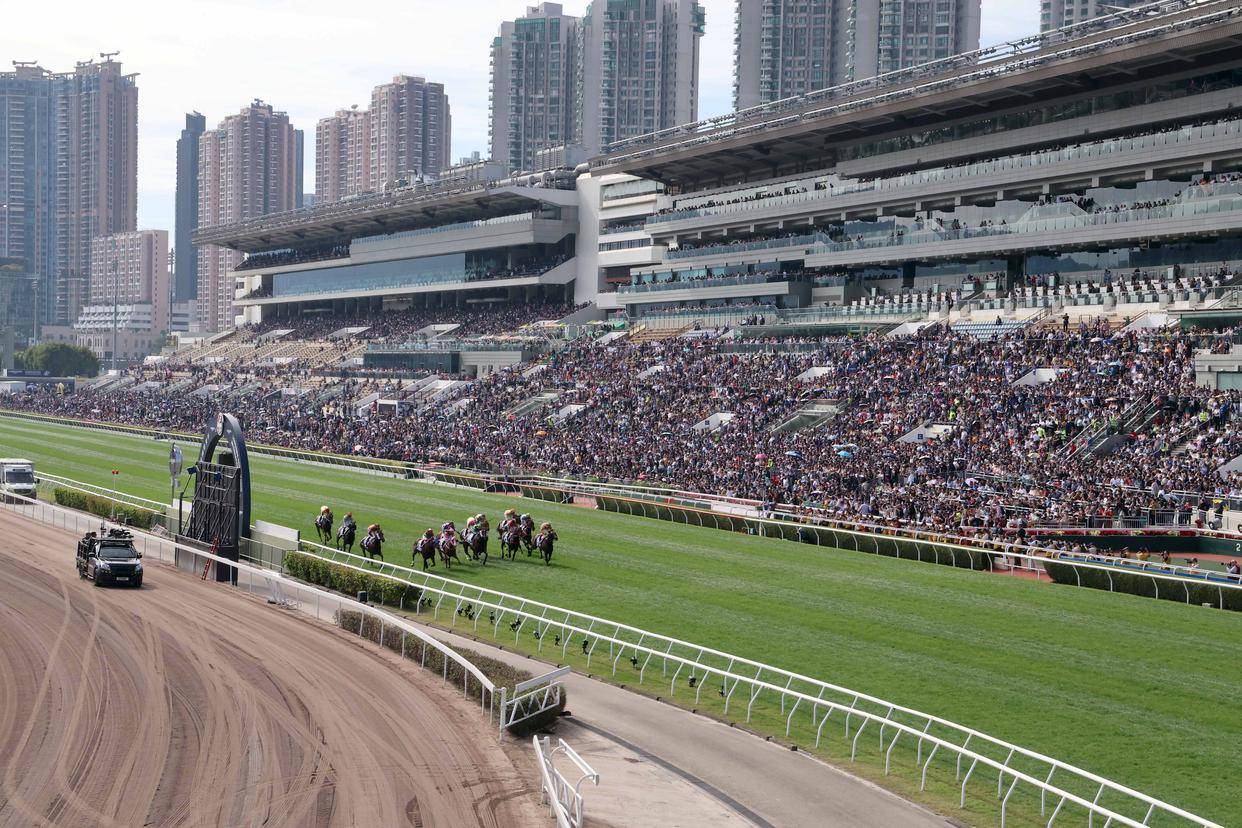2019年香港马会开奖记录与结果分析2019香港码开奖历史记录