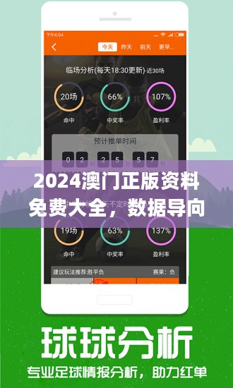 探索新澳历史的奥秘，最新开奖结果查询与今日分析新澳历史开奖最新结果查询今天开什么