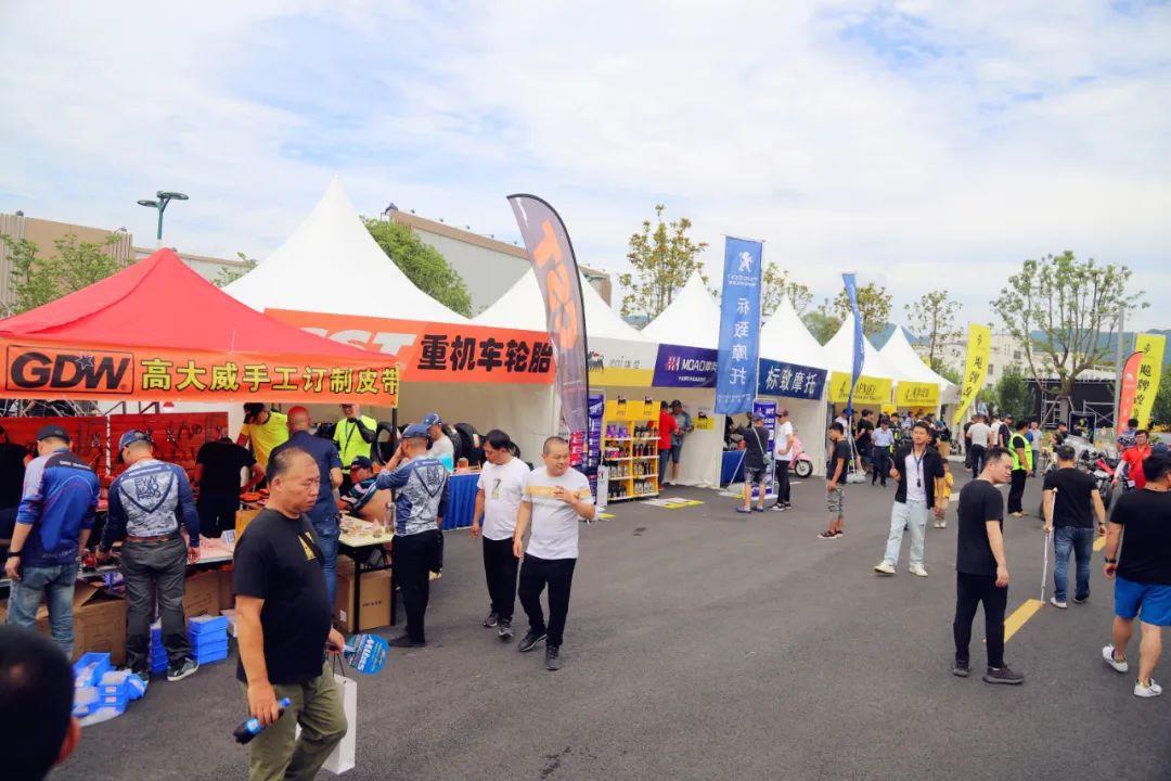 2019香港马会全年资料大全，精彩赛事与辉煌成就的全面回顾香港2020马会资料