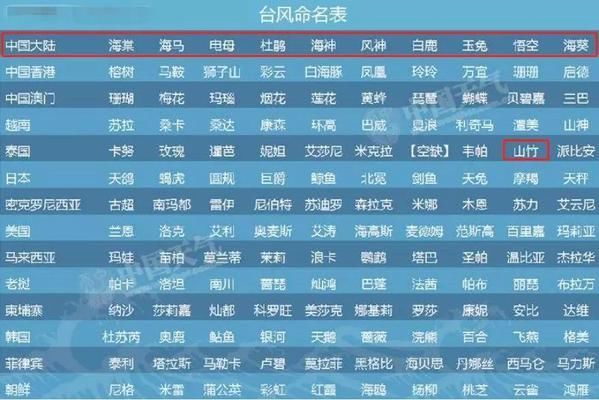 2049年新奥特开奖记录查询，透视未来彩票的数字世界2024年新奥特开奖记录查询表图片