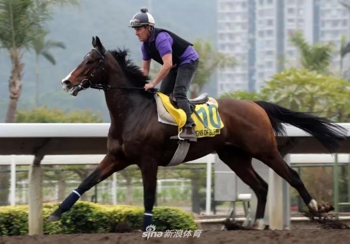 2019年香港马赛开奖记录与精彩瞬间回顾2019年香港码开奖记录
