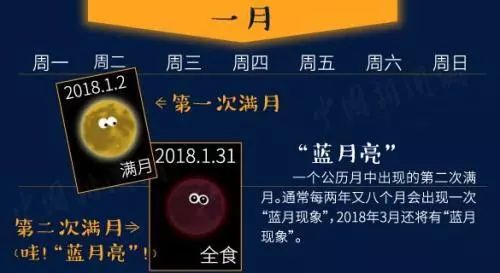 蓝月亮精选，二四六资料深度解析蓝月亮精选二四六码免费