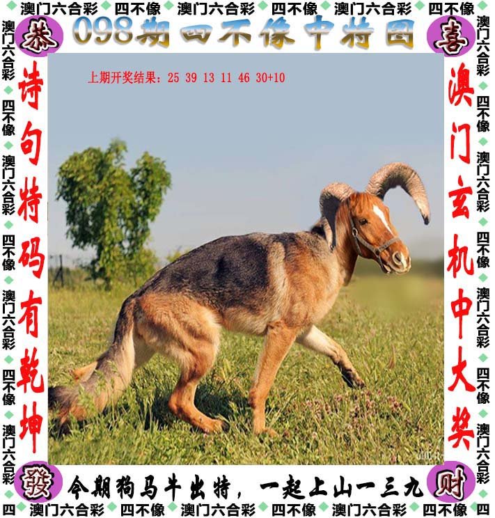 探索管家婆正版四不像图的奥秘与价值管家婆正版四不像图片大全