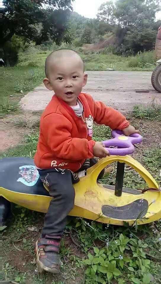 天下水果奶奶，免费资料背后的甜蜜故事天下水果奶奶免费资料欢迎你