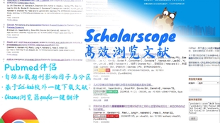 揭秘与警示