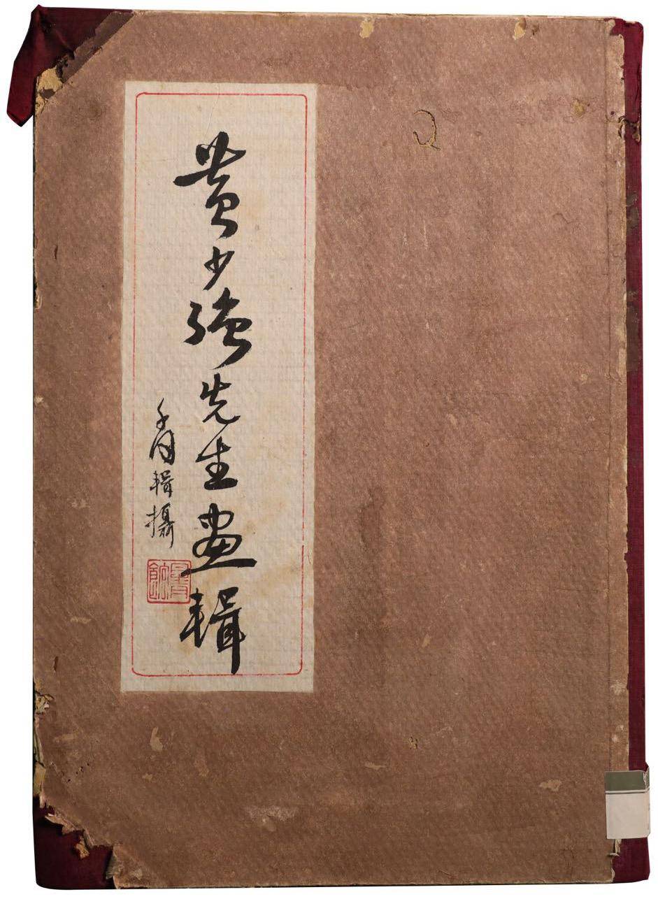 曾道正版资料免费大全，一肖之谜的真相曾道正版资料免费大全一肖一46期