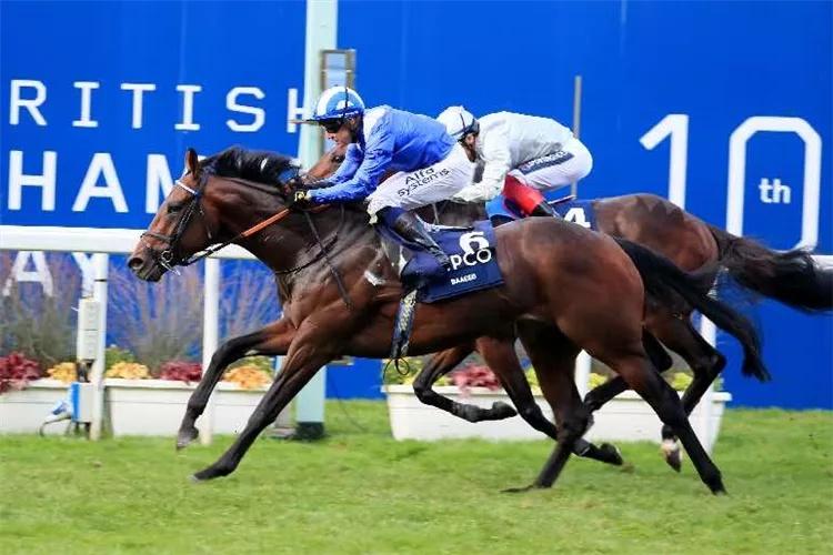 探索香港全年资料马会大全，赛马的激情与文化的交融香港2021马会全年免费资料