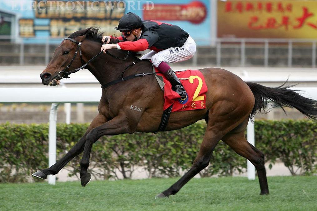 2019香港马会全年资料大全，赛场风云与慈善盛举的精彩回顾香港2021年马会资料大全