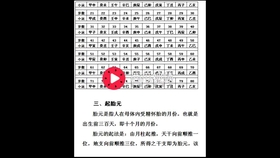 管家婆一码预测，四柱八字揭秘未来