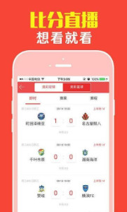 308k，二四六天天好彩的数字魔法308k二四六天天、好彩资料大全 小说