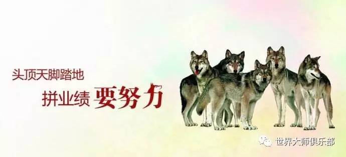 广西的狼性精神，探秘精英主论坛的力量广西的狼精英主论坛_
