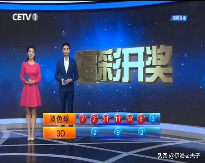 本期香港码开奖结果，揭秘数字背后的惊喜与期待本期香港码开奖结果2024