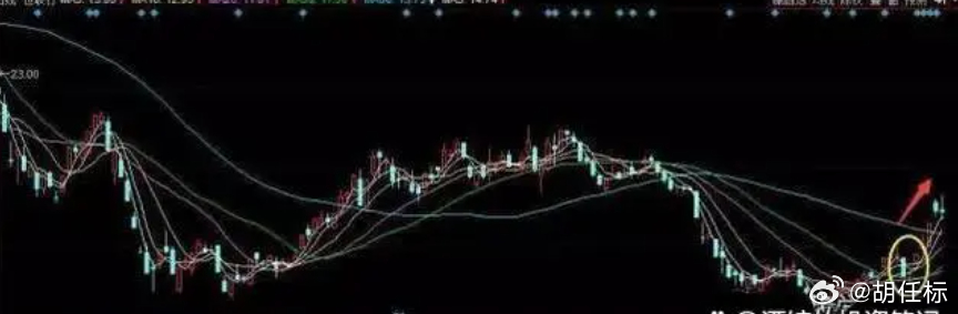 3D专业走势图带连线，新浪财经的深度解析与实战应用3d 走势图专业带连线新浪