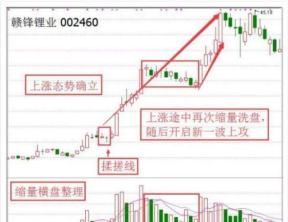 3D基本走势图带连线专业版双色球，深度解析与实战指南3d基本走势图带连线专业版双色球开奖