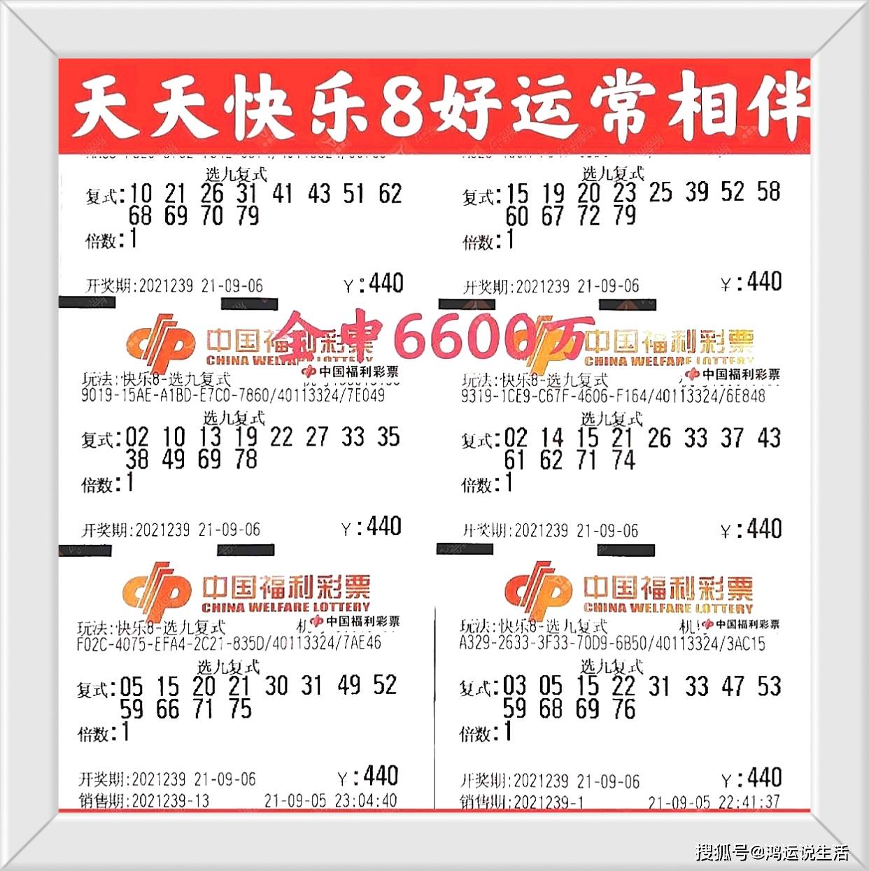 3D中奖号与试机号的奥秘，解读走势图，掌握幸运密码3d中奖号试机号走势图表