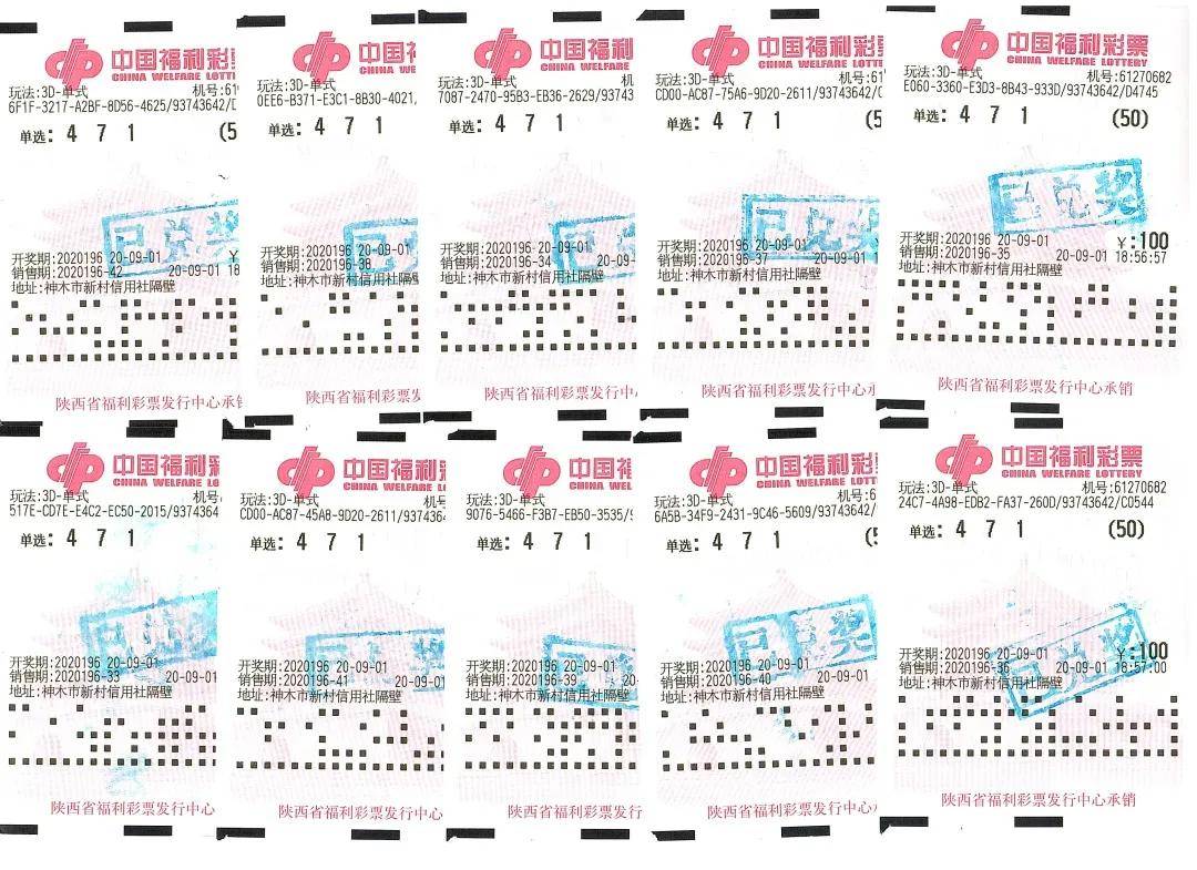 3D中奖号神秘揭秘，从数字到幸运的奇妙之旅3D中奖号343的彩票
