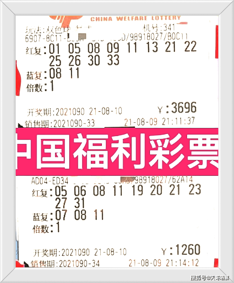 今日揭晓，北京福彩3D开奖号码的神秘面纱北京福彩3d今日开奖号码走势图
