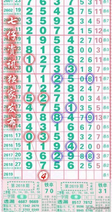2018年重温，揭秘七星彩的辉煌与变迁2008年七星彩开奖结果