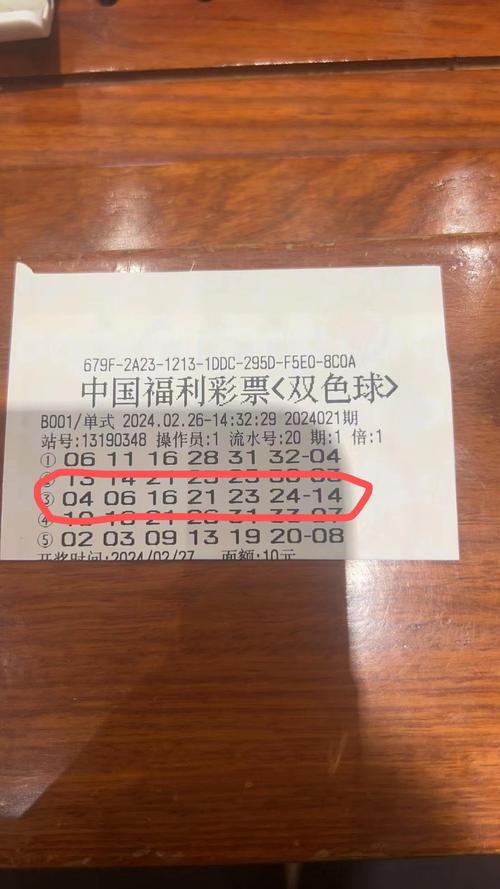 跨越十年的双色球，从2013年第67期到未来—探寻彩票的幸运轨迹双色球2013061期开奖结果查询
