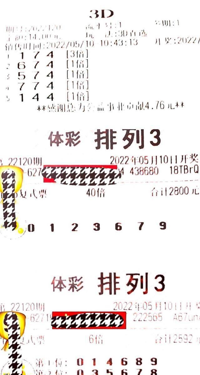 预测彩票3D开奖号，理性与概率的博弈福彩3d开奖号预测