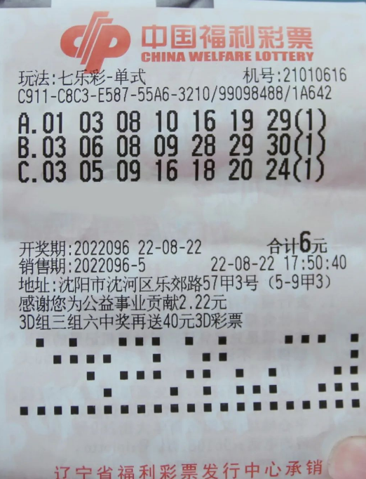 揭秘中国福利彩票双色球第63期开奖结果与背后故事63期福利彩票双色球