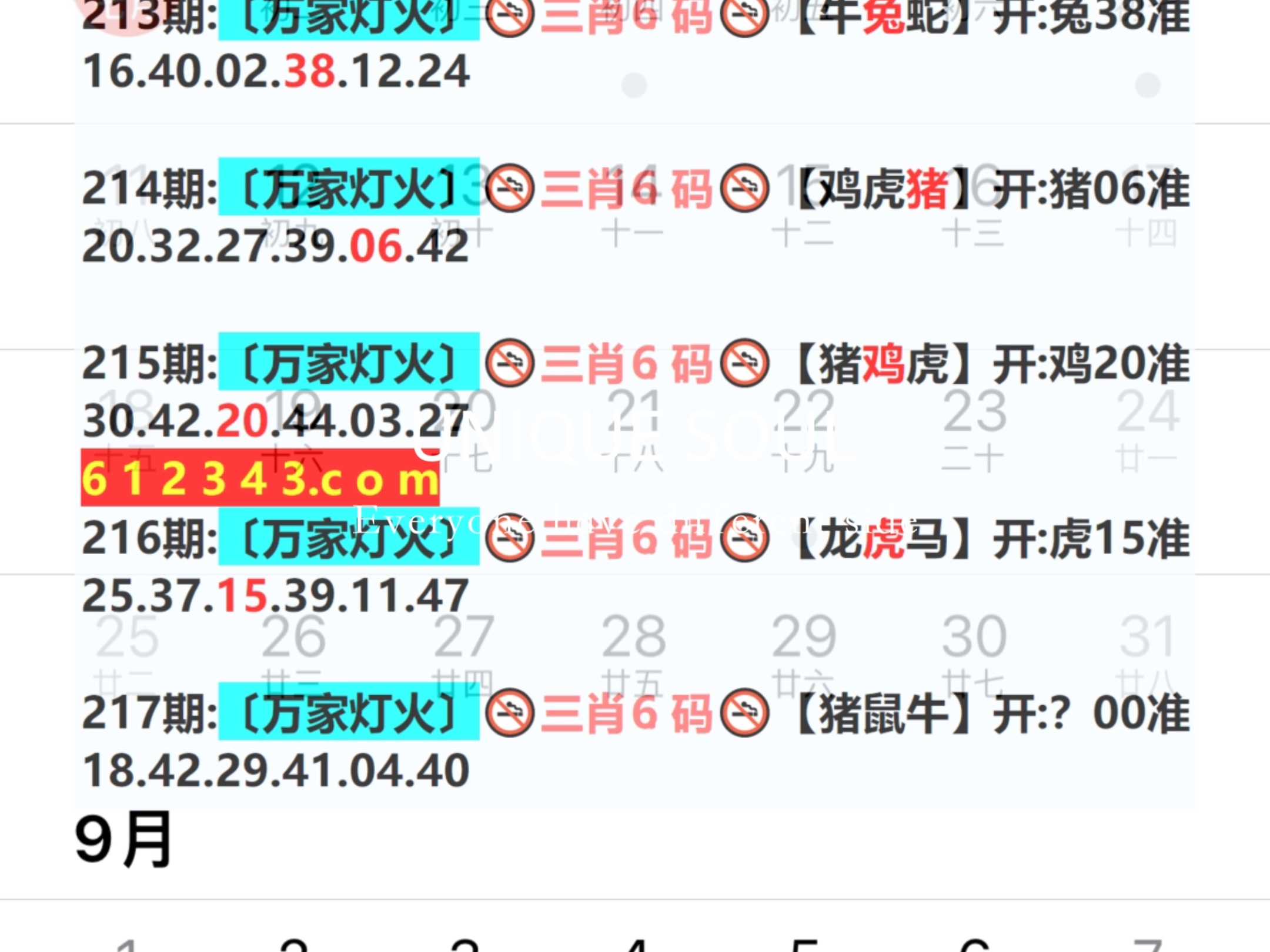 蓝月亮四肖八码，揭秘精准预测的背后蓝月亮四肖八码精选资料一首页