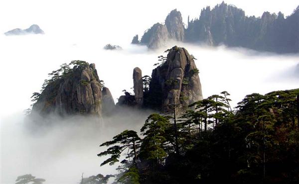 天下彩天资料大全，揭秘彩票背后的数据与策略天下彩天资料大全最新版特色