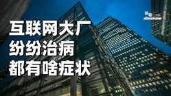 澳门精准免费大全，揭秘9624与凤凰网背后的真相4949澳门精准免费大全凤凰网9626指鸡骂狗是什么生肖