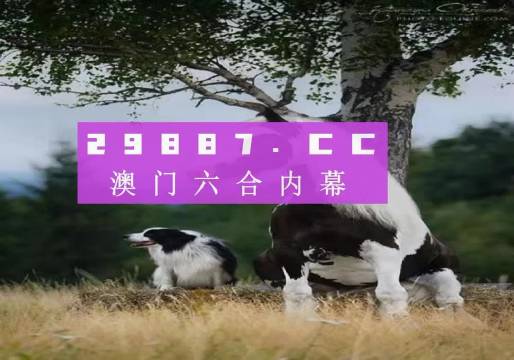澳门跑狗3769，揭秘背后的真相与警示