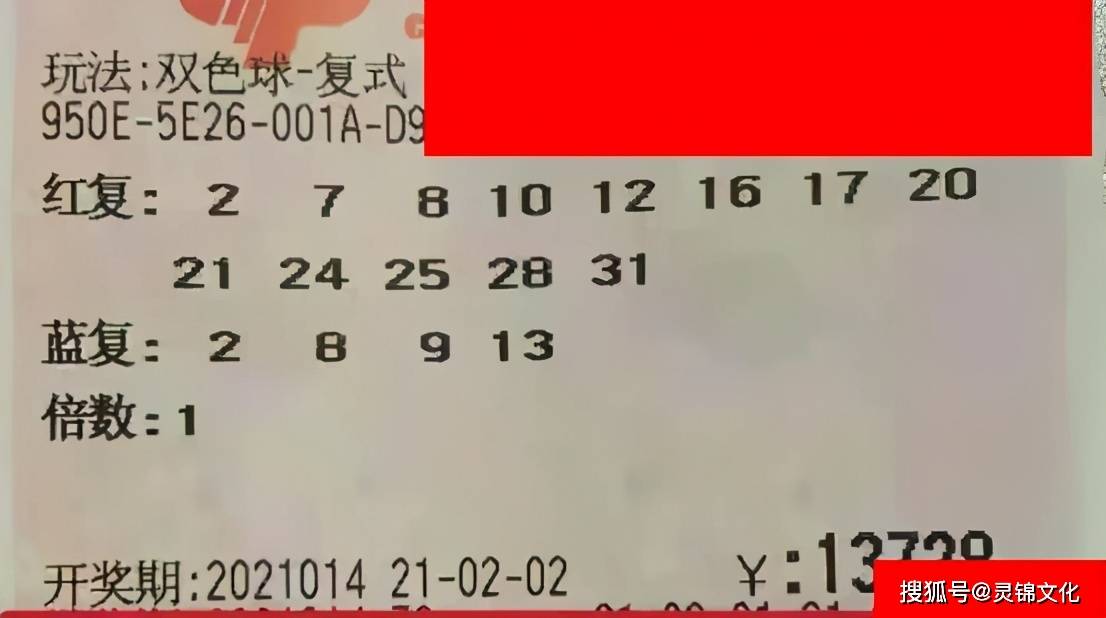 38期香港码开奖结果，揭秘数字背后的幸运与期待38期香港码开奖结果香港40期开奖结果