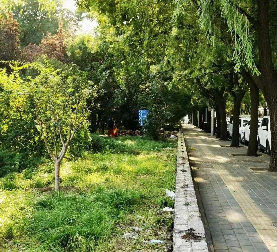 免费49图库，港澳地区资料大全49图库免费的资料港澳2023金玉满堂什么生肖
