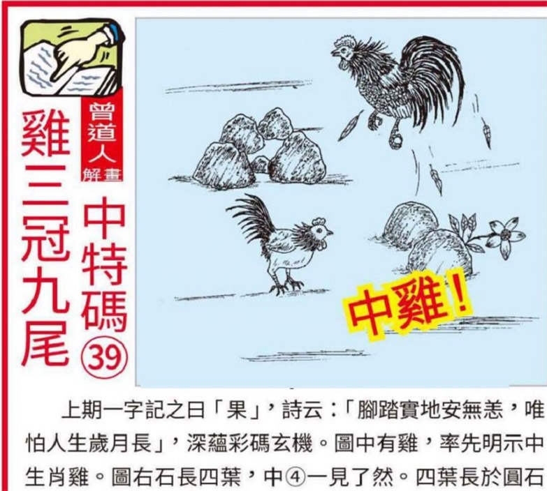 2019年正版马会资料大全,全面解析与使用指南正版马会精选资料大全+新闻