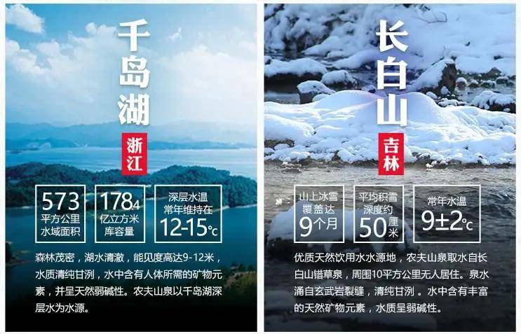 彩富网免费资料大全，与您同行在财富探索的征途上彩富免费资料大全与你同行手机报码