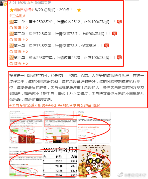 管家婆心水主论坛，揭秘网络彩票的幕后与风险管家婆心水主论坛官家