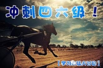 探索马会传真1326-CC的奥秘,一场关于赛马的智慧与激情马会传真13262cc使用方法
