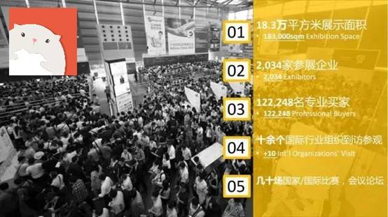 澳门2045年免费资料大全，探索未来与机遇的钥匙澳门2024免费资料大全集
