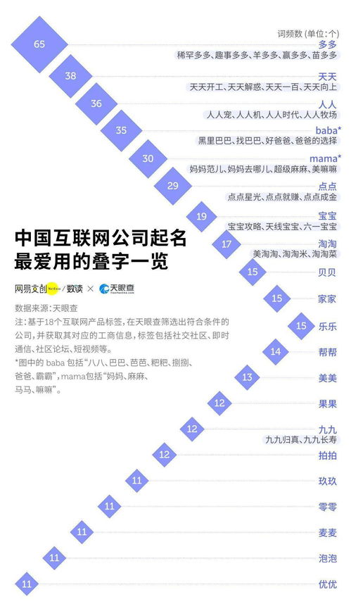 数字时代的航行者，网络公司的崛起与挑战网络公司名字起名大全最新
