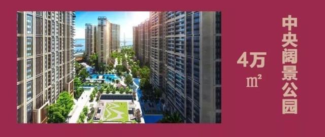 漳州市人才招聘网，搭建智慧桥梁，共筑发展未来漳州市人才招聘网康复人才招聘
