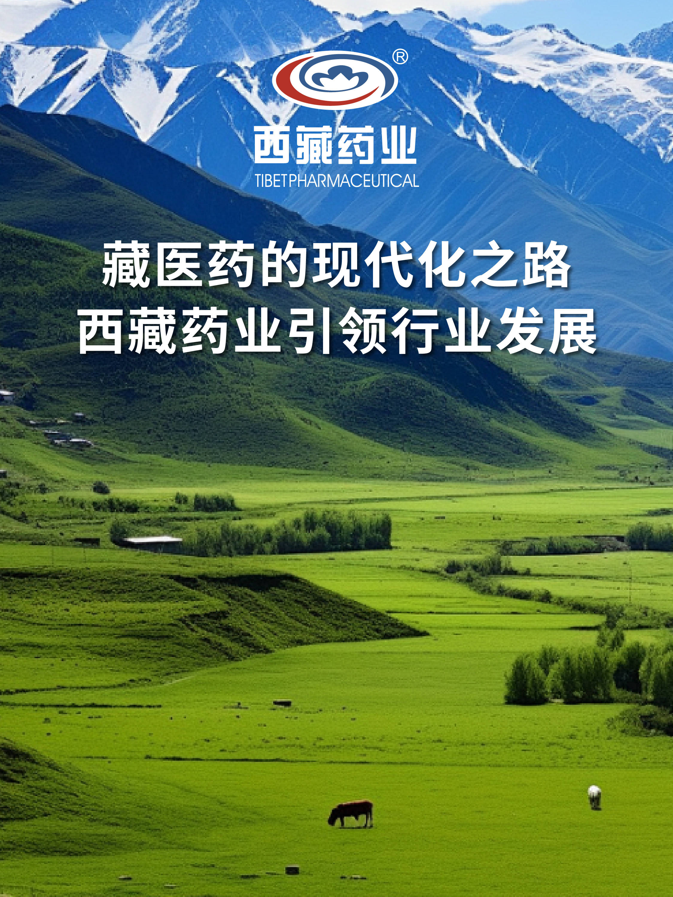 西藏药业，高原上的绿色瑰宝西藏药业主要生产什么药