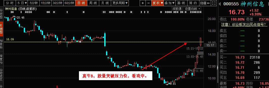 探索金钼股份，中国金属行业的璀璨明珠金钼股份股吧