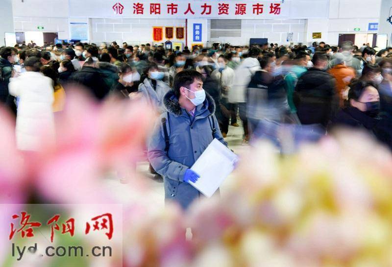 洛阳人才网招聘网的多元化与高效性，助力企业招贤纳士，促进城市发展洛阳人才网招聘网最新招聘
