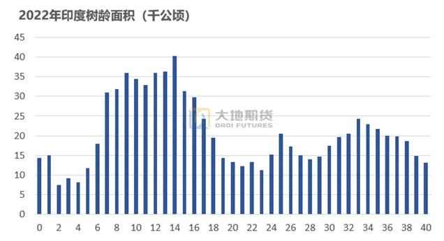 探秘王府井股票，历史、现状与未来展望王府井股票行情