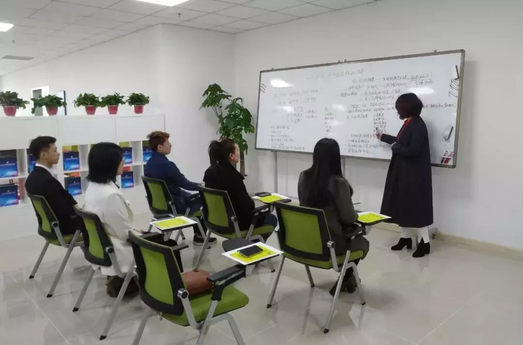 国内十大人力资源公司,引领人才市场的创新与变革国内十大人力资源公司有哪些