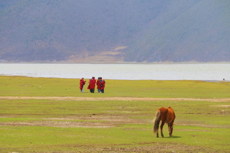 青海春天，高原上的自然馈赠与文化瑰宝青海春天(600381)股吧