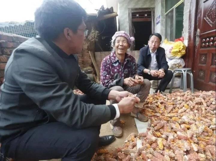 探索中国保险业的中流砥柱，中国人寿保险公司的发展与贡献中国人寿保险公司官网