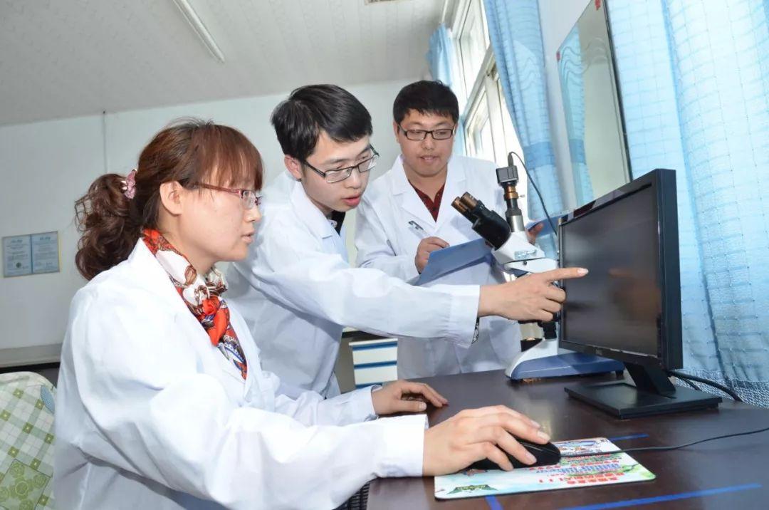 探秘三友化工股票，从行业前景到投资价值深度剖析三友化工股票行情